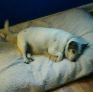 Meet your Posher, Tedra